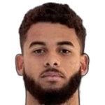 Henrique Gelain Custódio